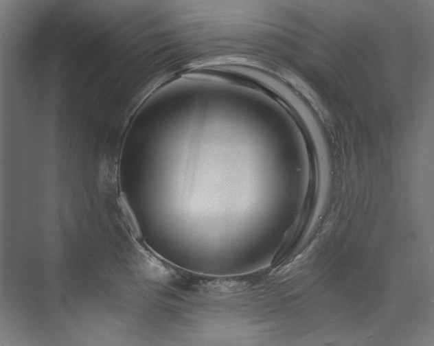 X0000074001193200608211406