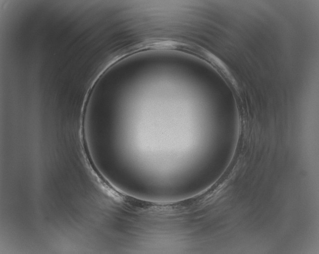 X0000074001194200608211406
