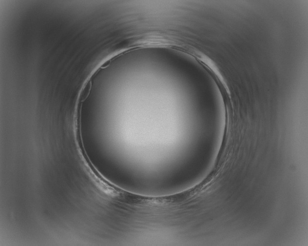 X0000074001195200608211406