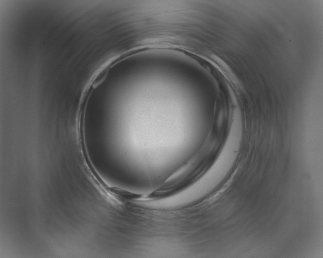X0000074001196200608211406