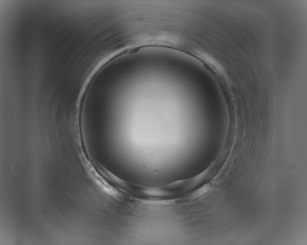 X0000074001200200608211406