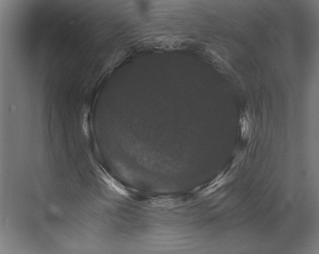 X0000074001202200608211405
