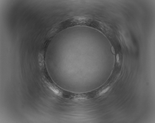 X0000074001203200608211405