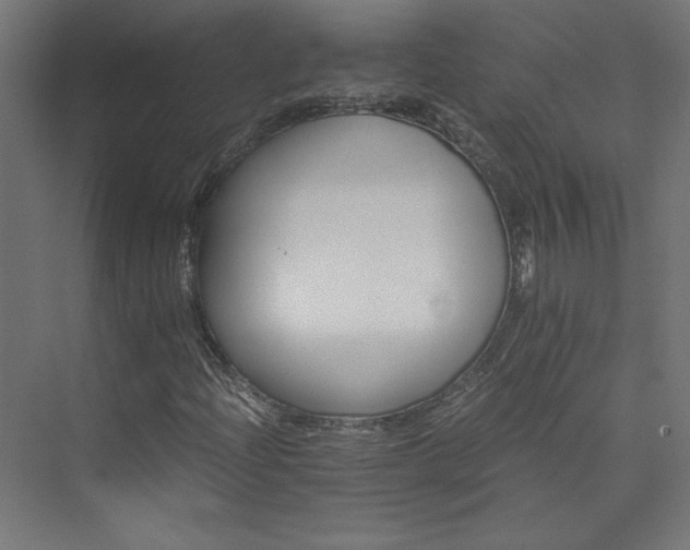 X0000074001204200608211405