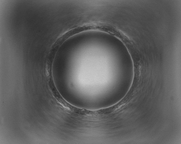 X0000074001206200608211405