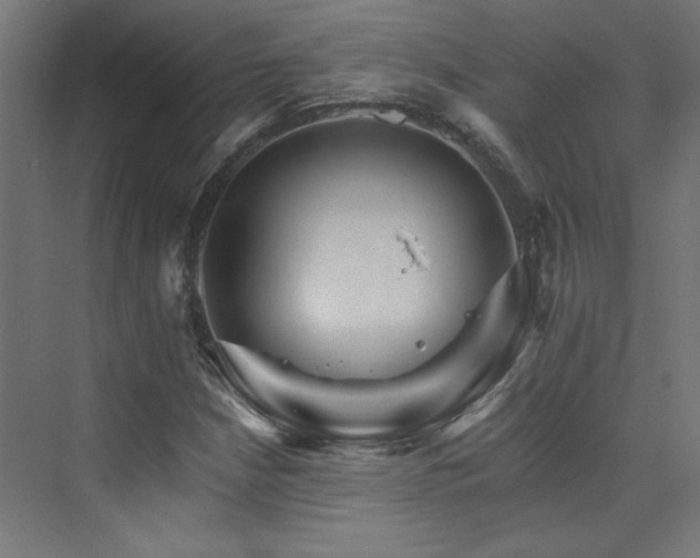 X0000074001210200608211405