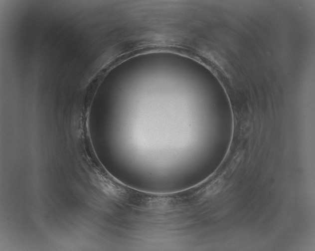 X0000074001211200608211405
