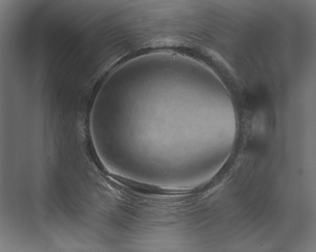 X0000074001217200608211405