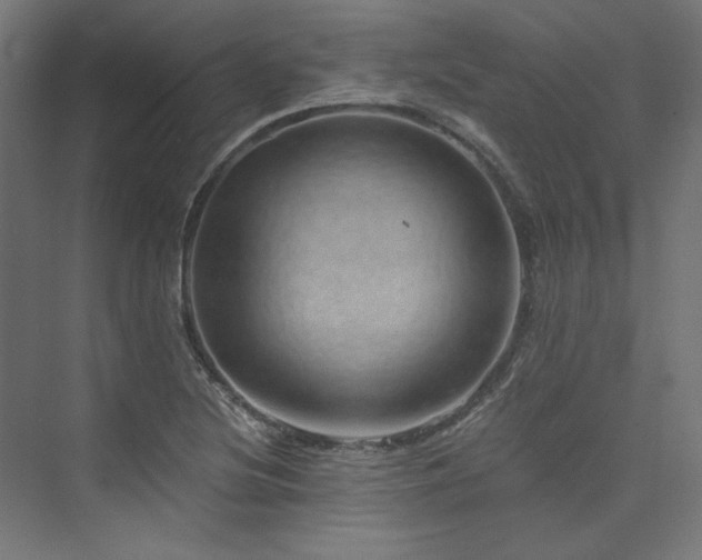 X0000074001220200608211405
