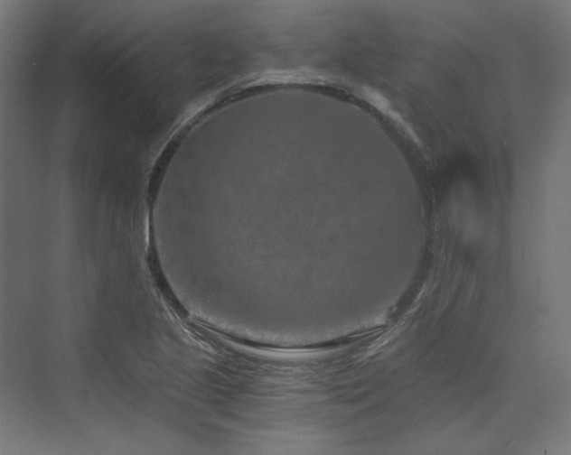 X0000074001221200608211405