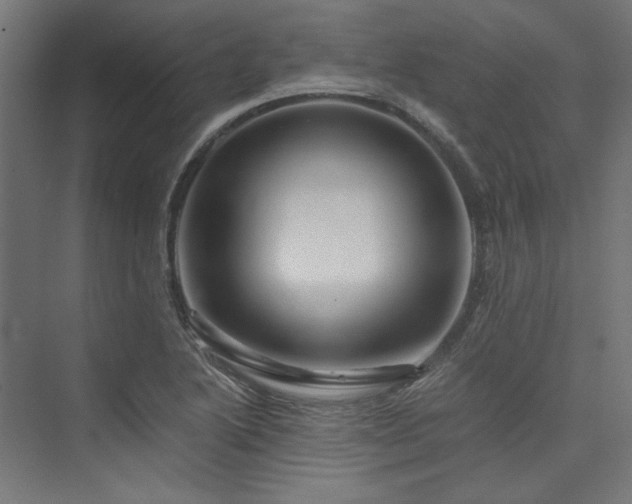 X0000074001222200608211405