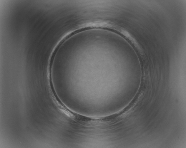 X0000074001232200608211405