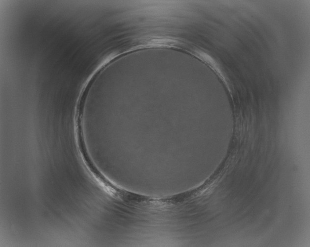 X0000074001235200608211405