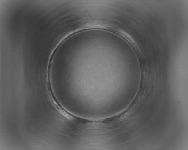 X0000074001236200608211405