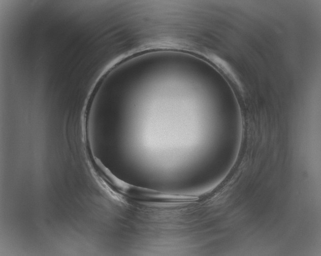 X0000074001238200608211405