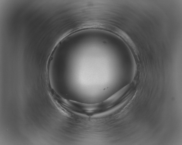 X0000074001242200608211405