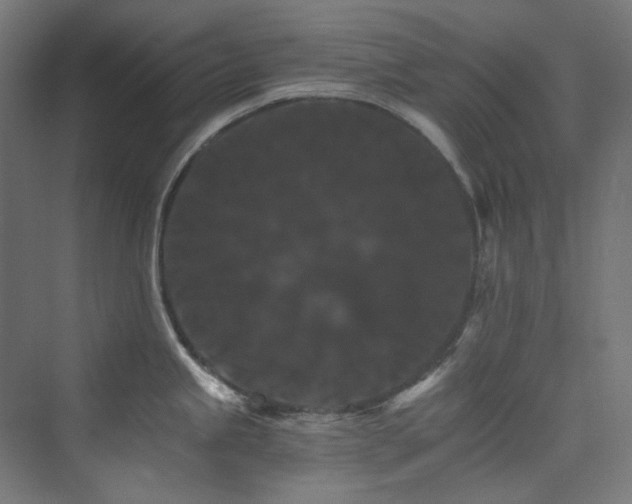 X0000074001245200608211405