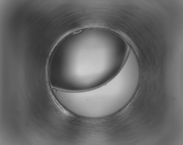 X0000074001246200608211405