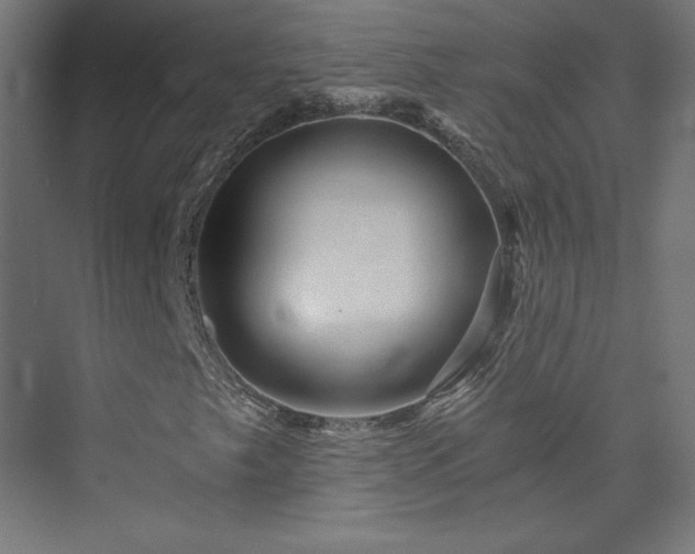 X0000074001249200608211405