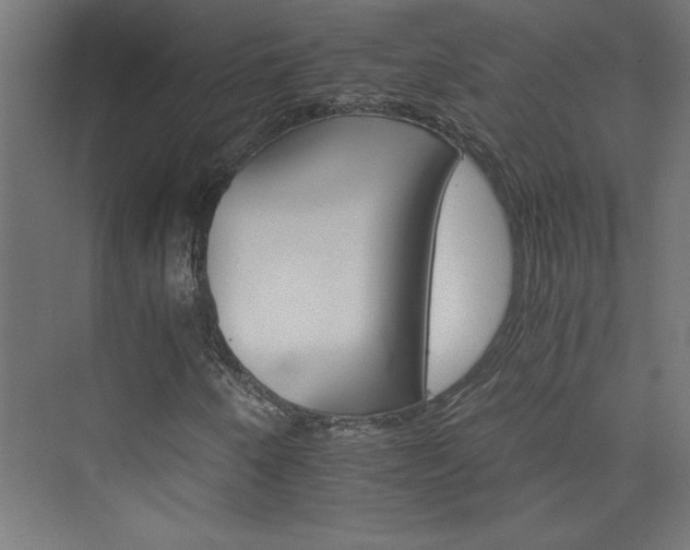 X0000074001250200608211405