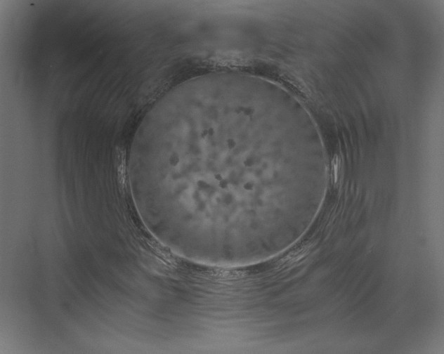 X0000074001251200608211405