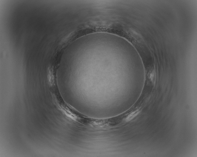 X0000074001252200608211405
