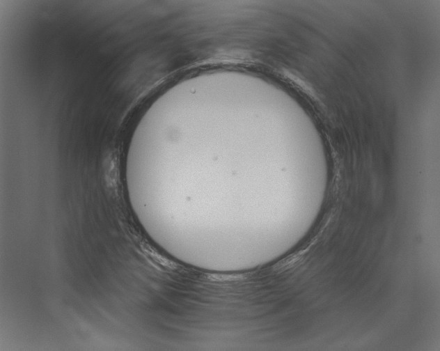 X0000074001258200608211405
