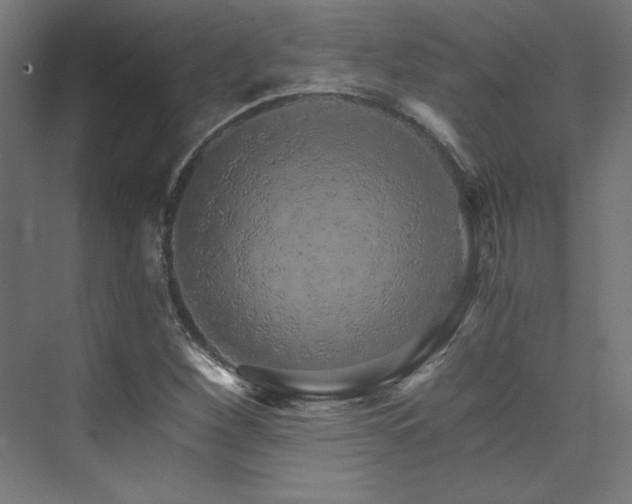 X0000074001260200608211405