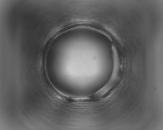 X0000074001261200608211405