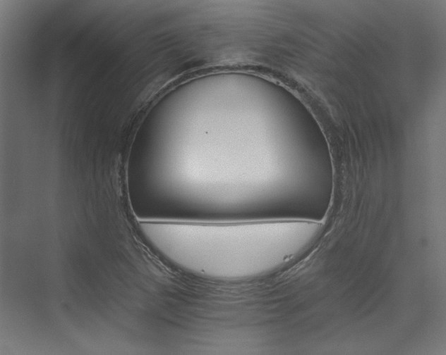 X0000074001265200608211404