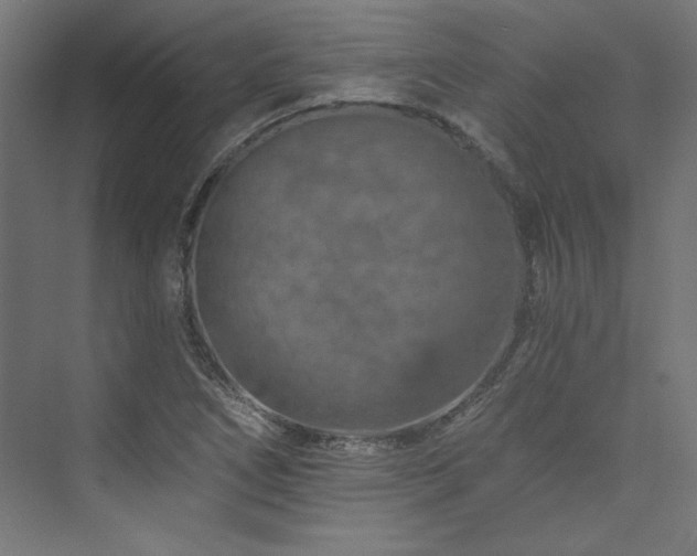 X0000074001266200608211404