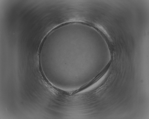 X0000074001268200608211404