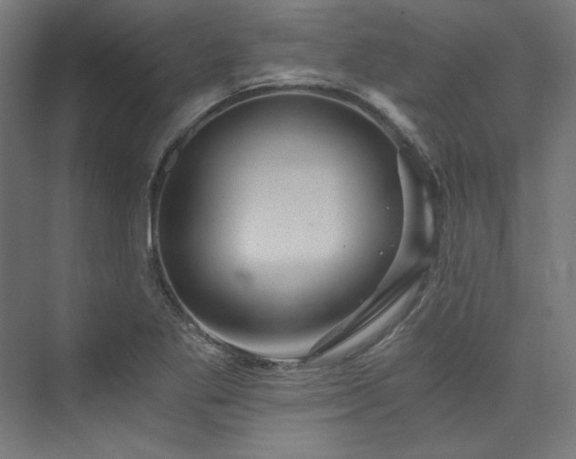 X0000074001269200608211404