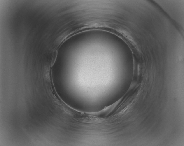 X0000074001273200608211404