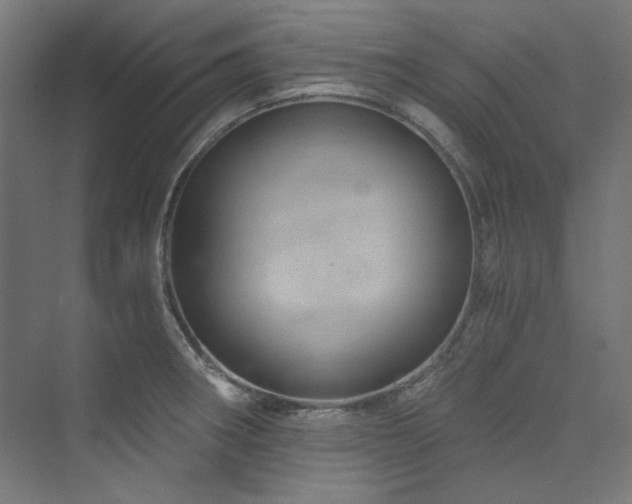 X0000074001282200608211404