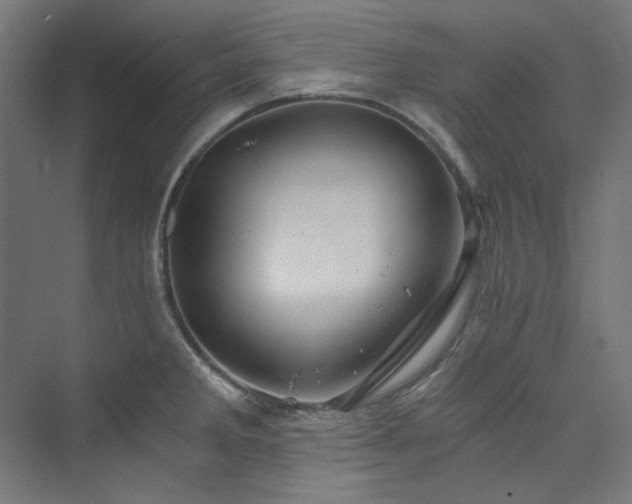 X0000074001285200608211404
