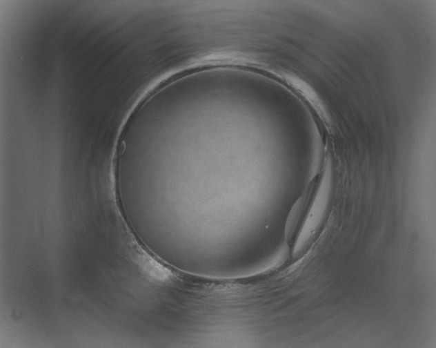 X0000074001288200608211404