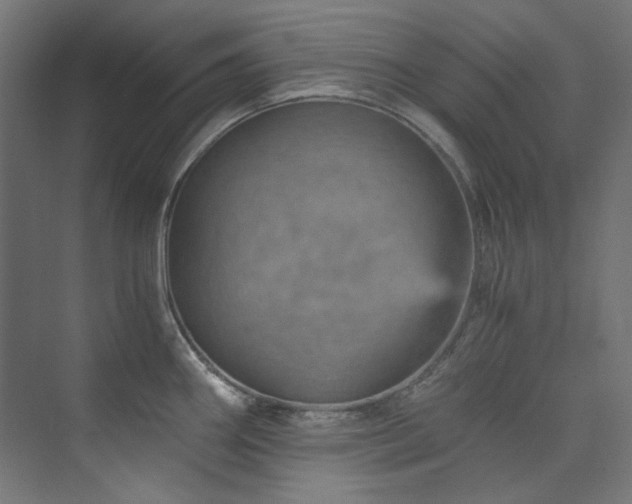 X0000074001290200608211404