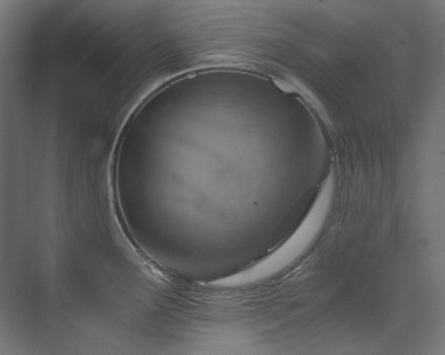 X0000074001291200608211404