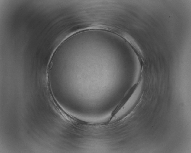 X0000074001292200608211404