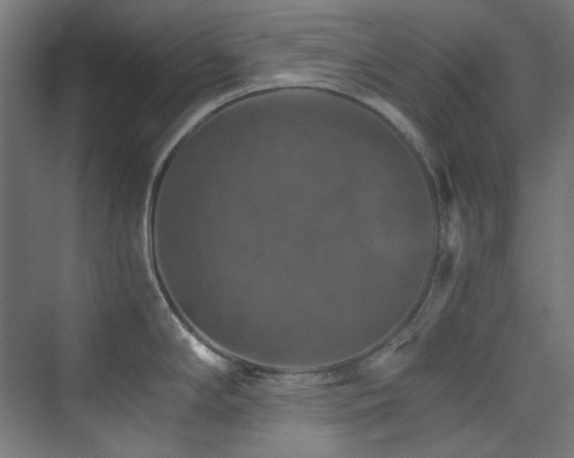 X0000074001294200608211404