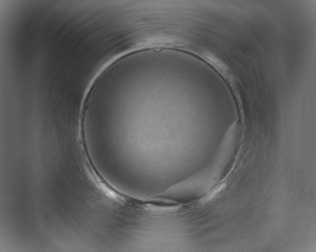X0000074001296200608211404