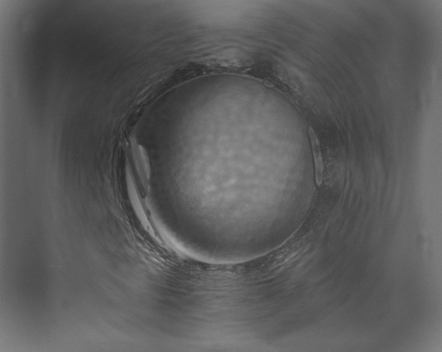 X0000074001297200608211403