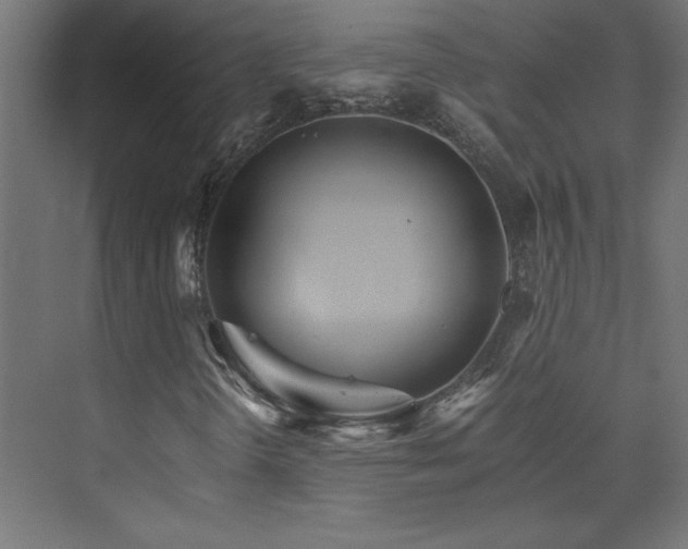 X0000074001298200608211403