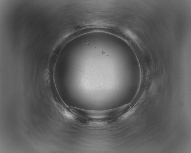 X0000074001307200608211403
