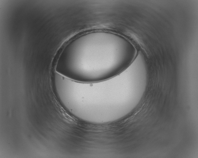 X0000074001308200608211403