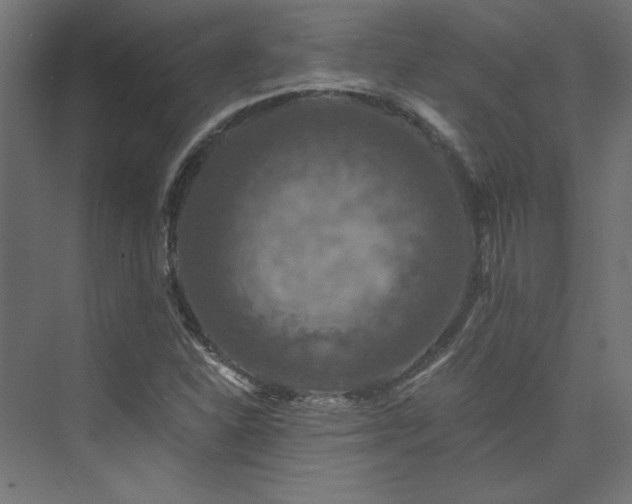 X0000074001310200608211403