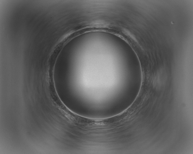 X0000074001315200608211403