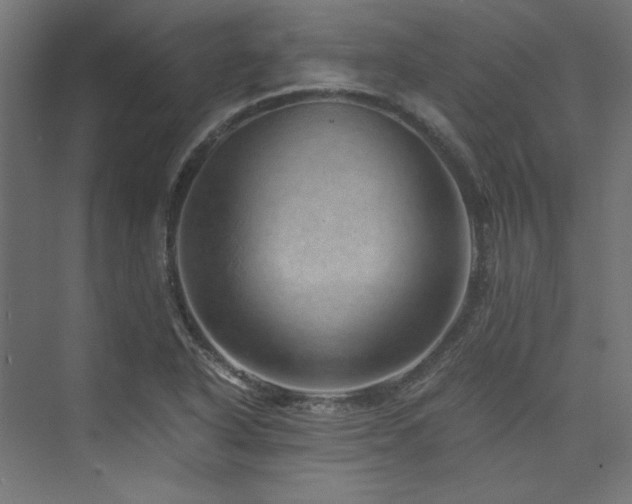X0000074001318200608211403