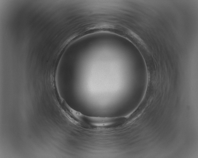 X0000074001321200608211404